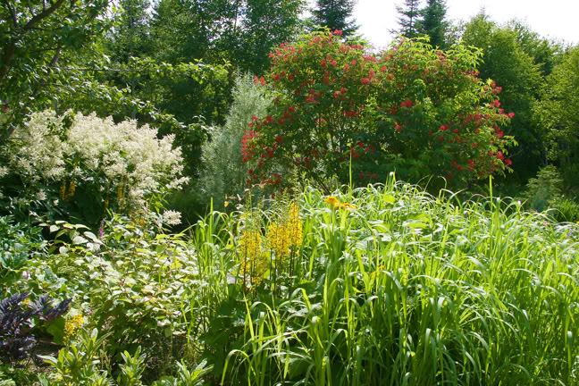 Juillet201015h00019.jpg