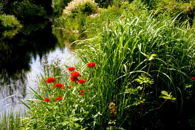 Juillet201015h00033.jpg