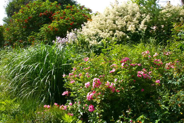 Juillet201015h00034.jpg