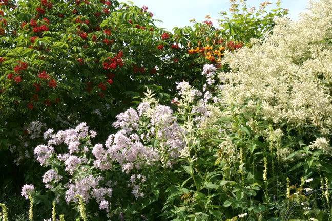 Juillet201015h00035.jpg