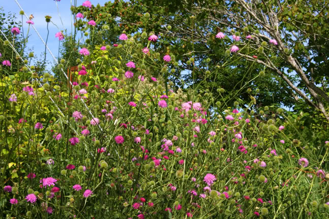 Juillet201015h00039.jpg
