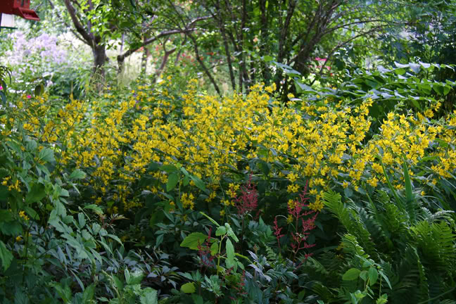 Juillet201015h00057.jpg