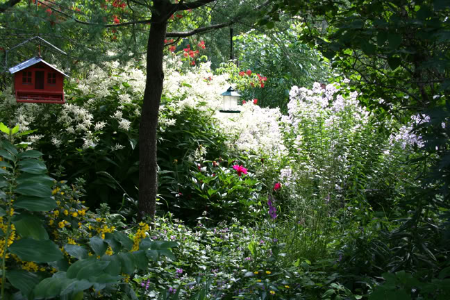 Juillet201015h00058.jpg