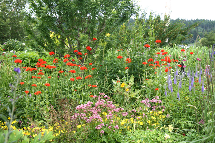 Juillet2012-07178255.jpg