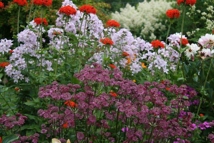 Juillet2012-07178258.jpg