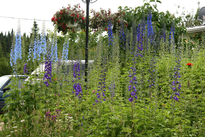 Juillet2012-07178279.jpg