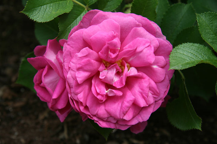 Juillet2012-07178290.jpg