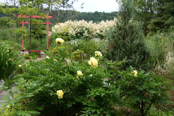 Juillet2012-07178293.jpg