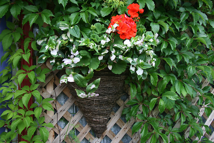 Juillet2012-08028412.jpg