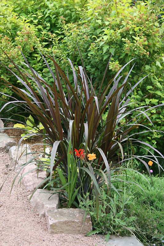 Juillet2012-08028416.jpg