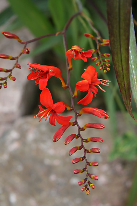 Juillet2012-08028417.jpg