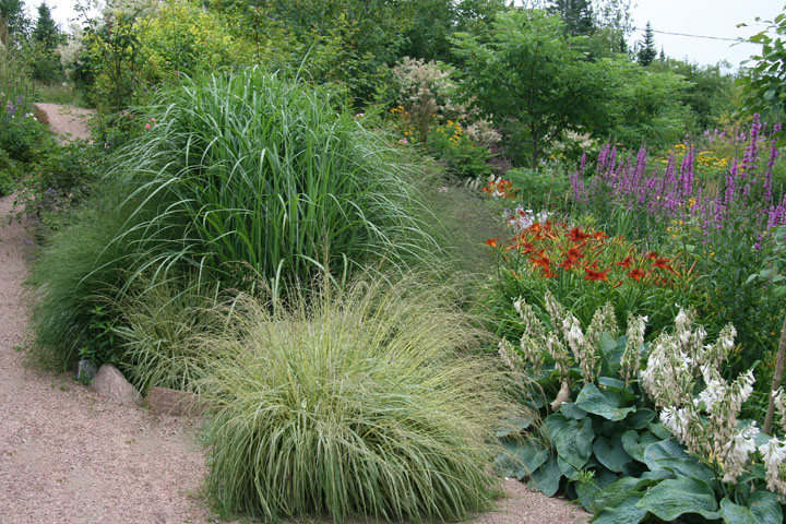 Juillet2012-08028418.jpg