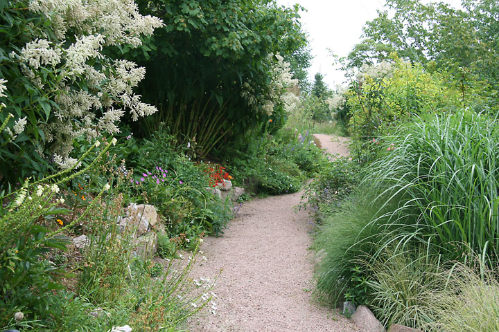 Juillet2012-08028419.jpg