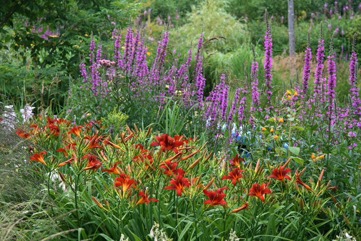 Juillet2012-08028420.jpg