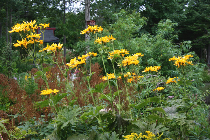 Juillet2012-08028421.jpg