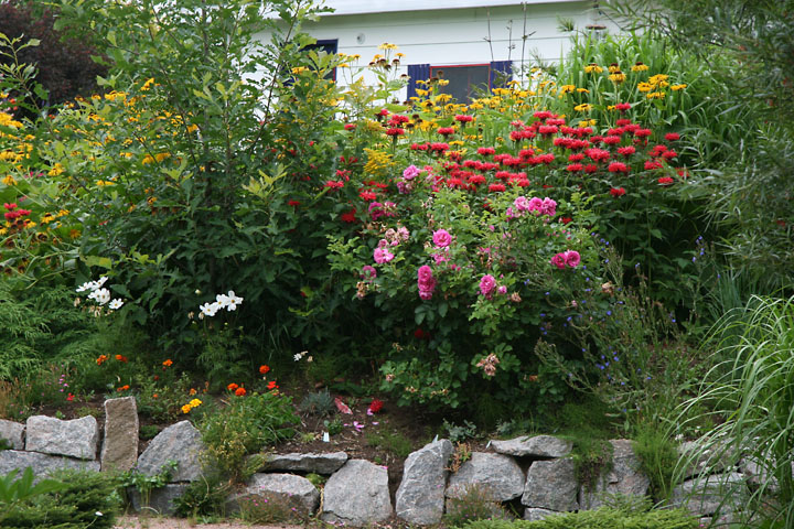 Juillet2012-08028428.jpg