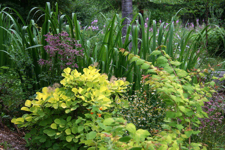 Juillet2012-08028435.jpg