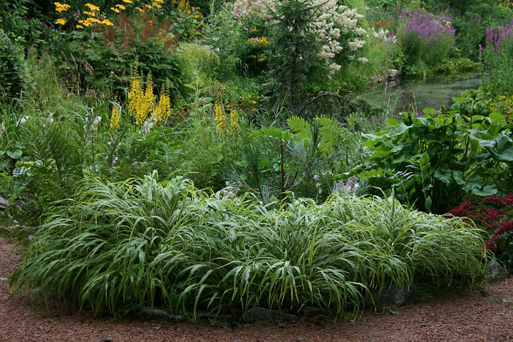 Juillet2012-08028437.jpg