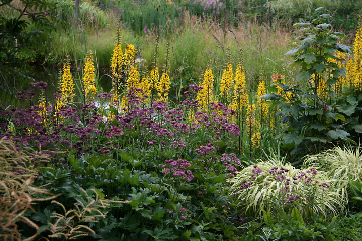 Juillet2012-08028439.jpg