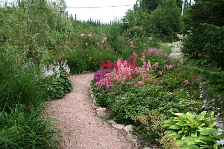 Juillet2012-08028440.jpg