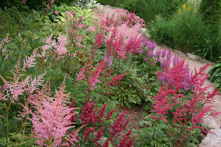 Juillet2012-08028442.jpg
