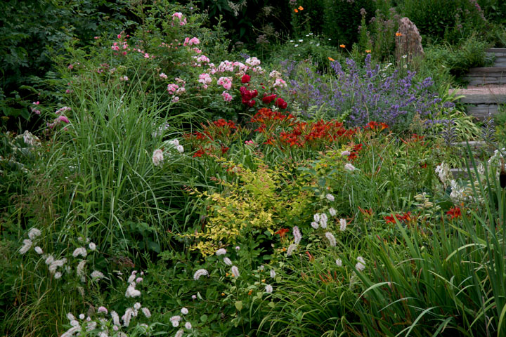 Juillet2012-08028447.jpg
