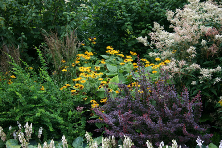 Juillet2012-08028448.jpg
