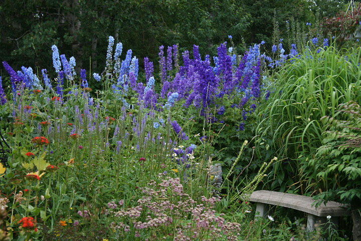 Juillet2012-08028455.jpg