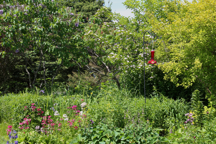 Juillet2013-2013_07_012630_zps42d74b3b.jpg