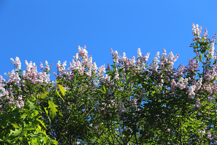 Juillet2013-2013_07_022632_zpse8aa7efd.jpg