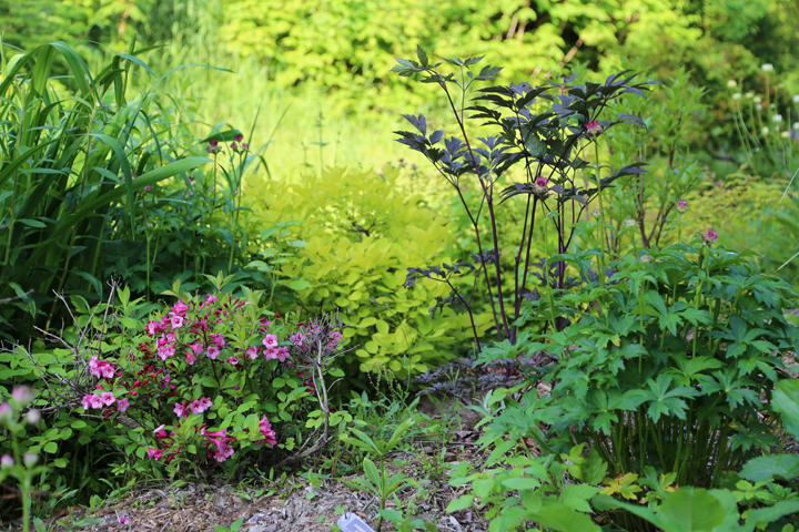 Juillet2013-2013_07_032657_zpsdab977f4.jpg