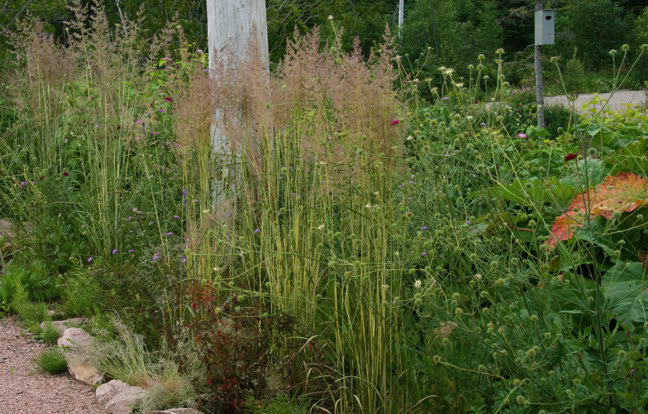 Juillet220800-2010034.jpg