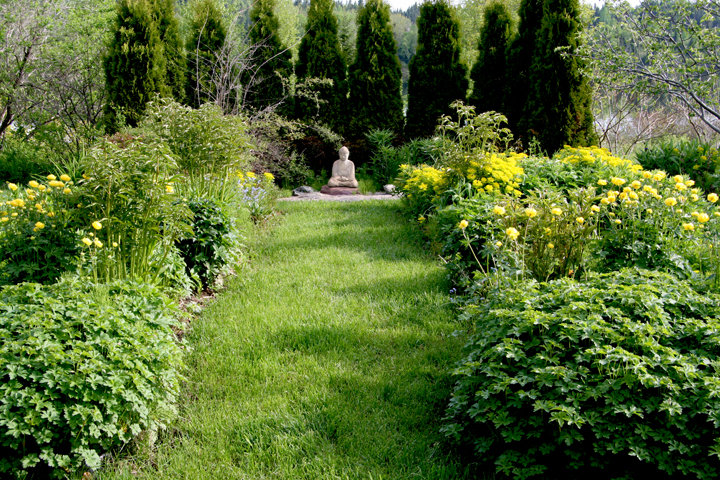 Juin2013-06130125_zps56fb4fe1.jpg