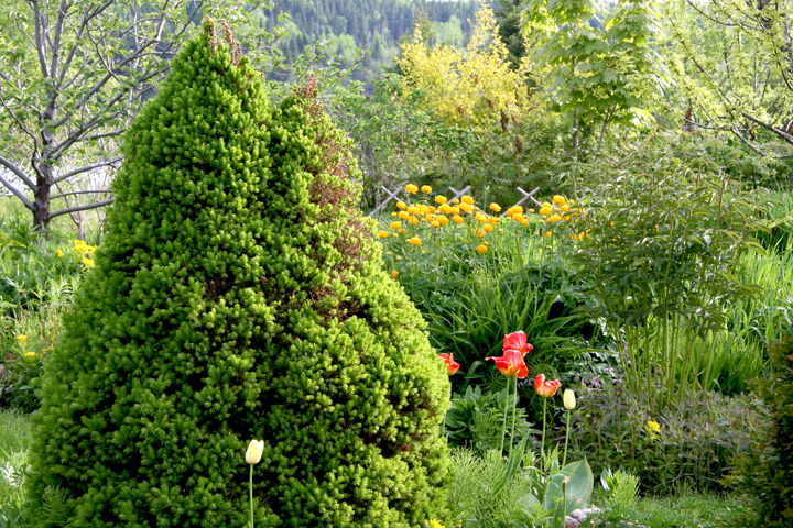 Juin2013-06130126_zpse8dd7562.jpg