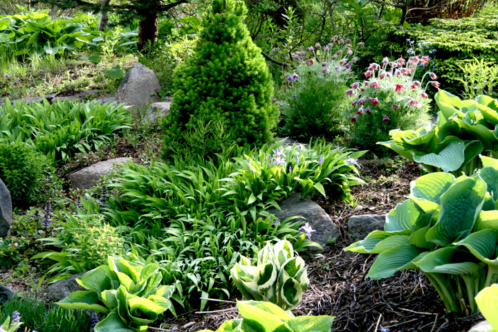 Juin2013-06130128_zps4326eab3.jpg