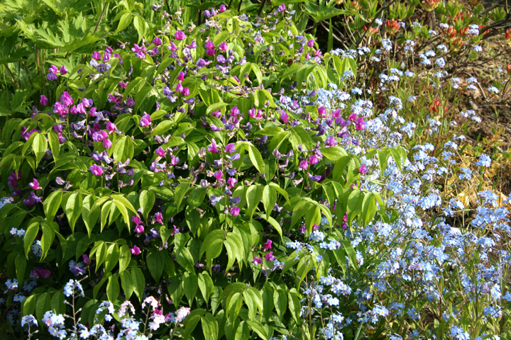 Juin2013-06130131_zpsb120c707.jpg