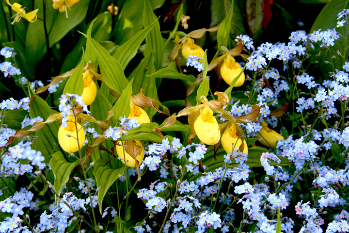 Juin2013-06130132_zpsf4701182.jpg