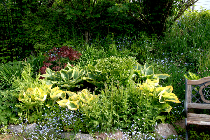 Juin2013-06130135_zps2d05333f.jpg