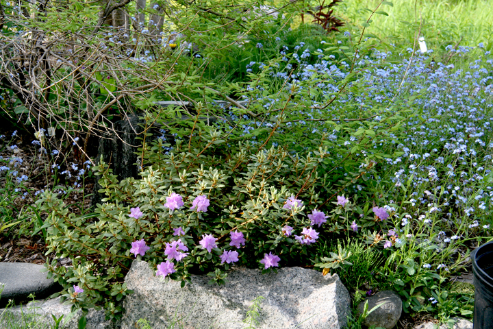 Juin2013-06130142_zpsd2e50ce8.jpg