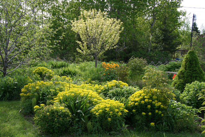 Juin2013-06130151_zps3f05fa7d.jpg