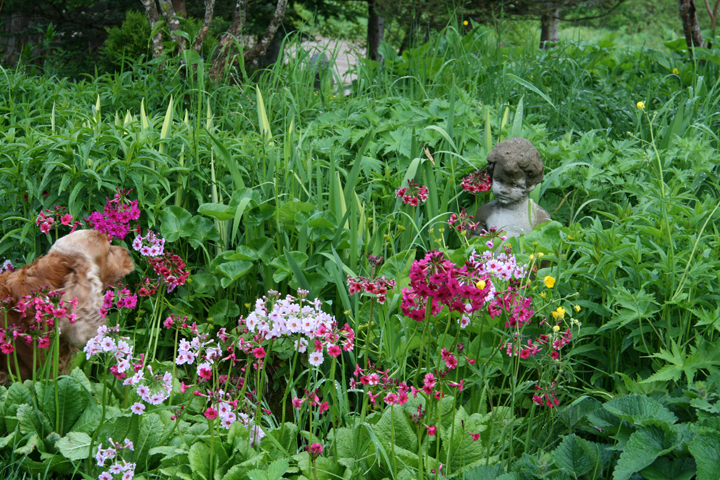 Juin2013-06190172_zpse9729a8b.jpg