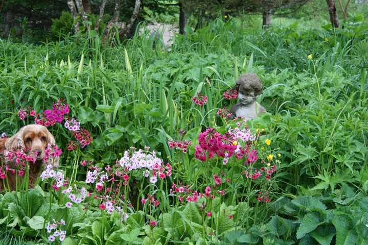 Juin2013-06190173_zpsaaaca351.jpg