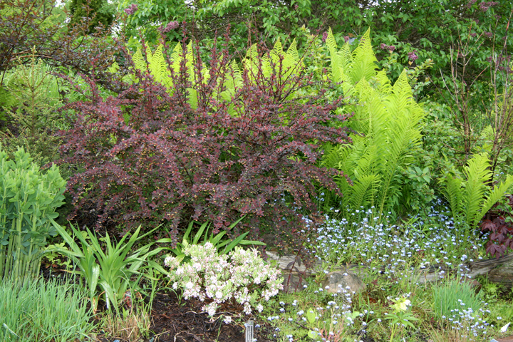 Juin2013-06190176_zps4ddce858.jpg
