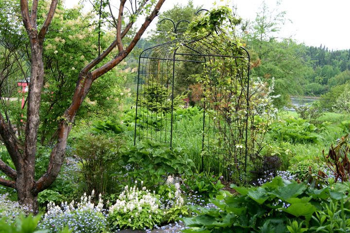 Juin2013-06190178_zpsc9387895.jpg