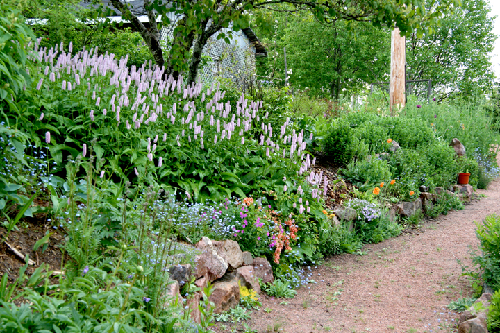 Juin2013-06190182_zps15b74a2f.jpg