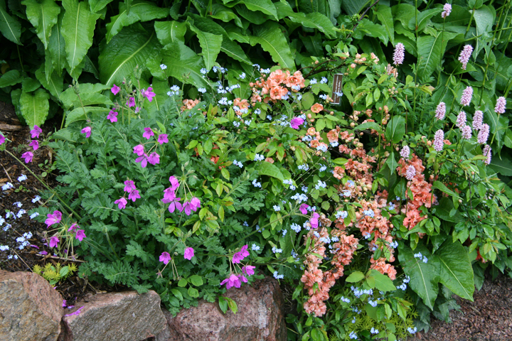 Juin2013-06190183_zps4f346206.jpg