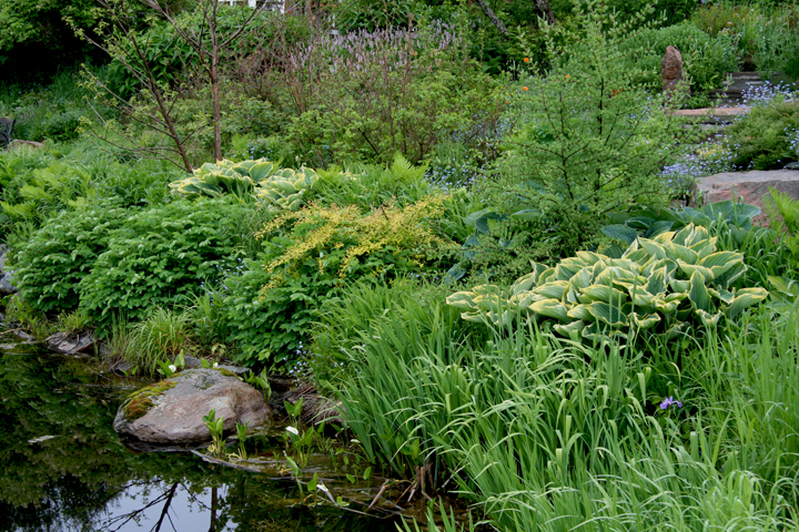 Juin2013-06190185_zps3409cf59.jpg