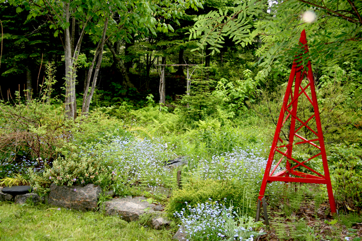 Juin2013-06190193_zps62bd079c.jpg