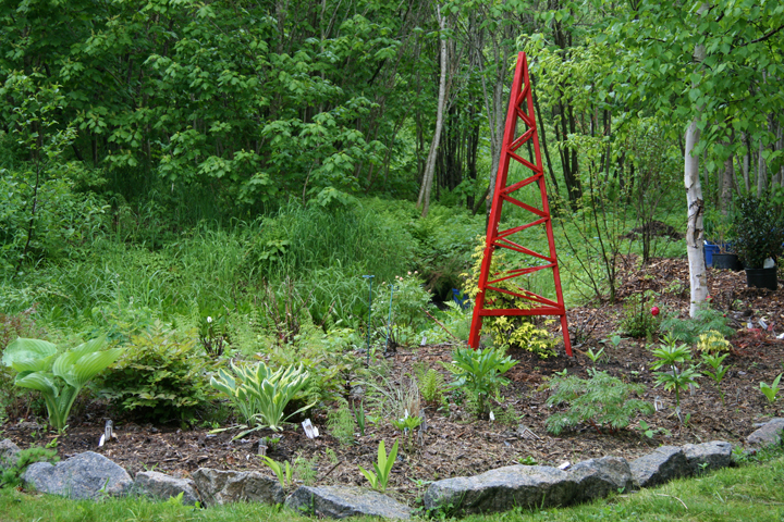 Juin2013-06190194_zps37b3ed81.jpg