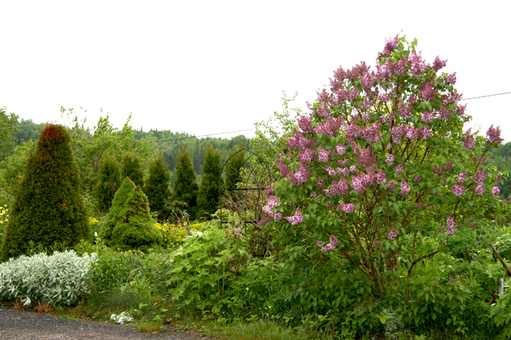 Juin2013-06190217_zps45301476.jpg